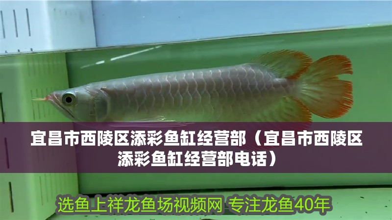 宜昌市<strong><mark>西陵</mark></strong>區添彩魚缸經營部（宜昌市<strong><mark>西陵</mark></strong>區添彩魚缸經營部電話）