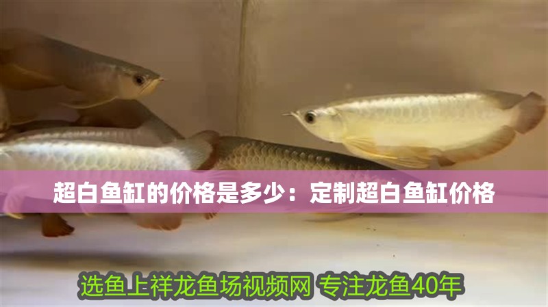 超白魚缸的價(jià)格是多少：定制超白魚缸價(jià)格