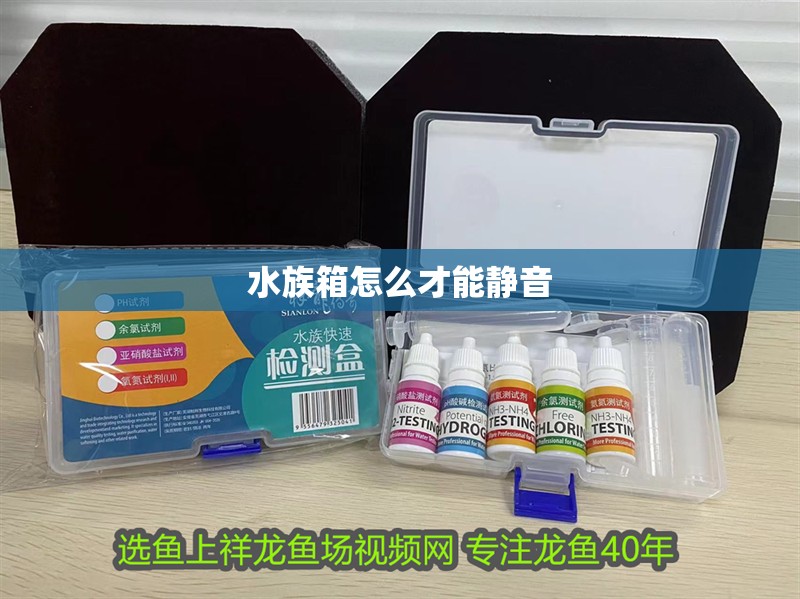 水族箱怎么才能靜音