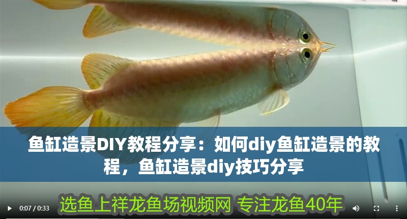 魚缸造景DIY教程分享：如何diy魚缸造景的教程，魚缸造景diy技巧分享