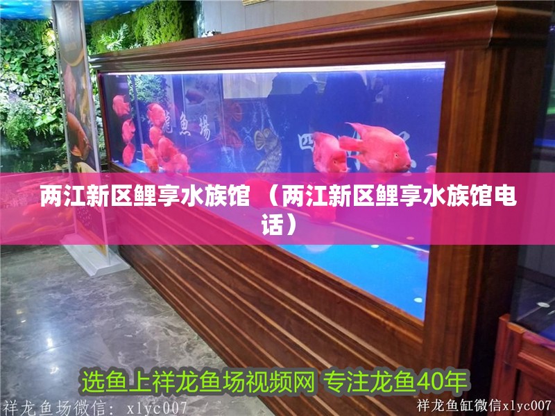 兩江新區(qū)鯉享水族館 （兩江新區(qū)鯉享水族館電話）