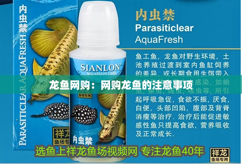 龍魚網(wǎng)購：網(wǎng)購龍魚的注意事項