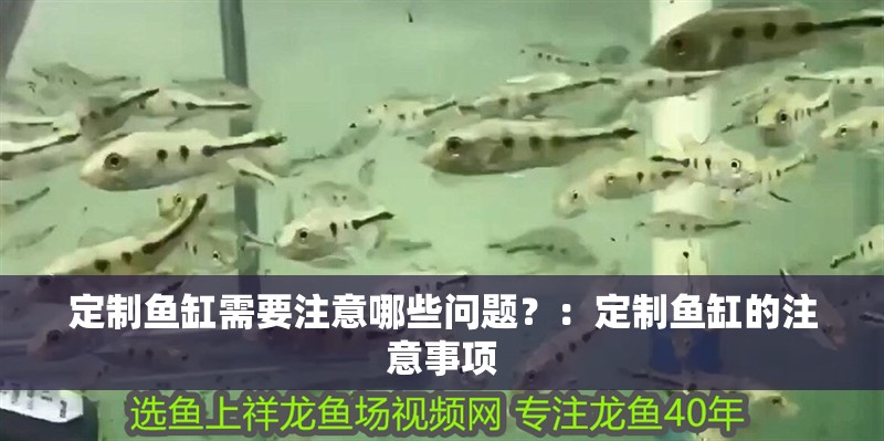定制魚缸需要注意哪些問題？：定制魚缸的注意事項