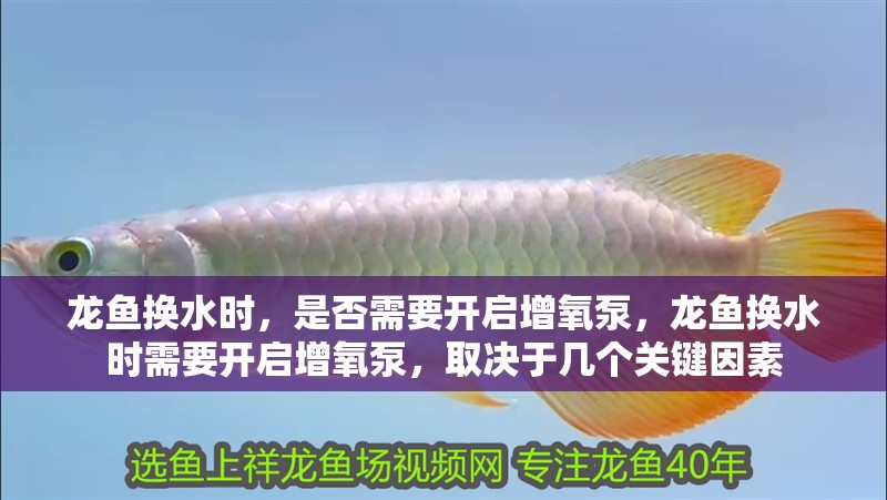 龍魚換水時，是否需要開啟增氧泵，龍魚換水時需要開啟增氧泵，取決于幾個關鍵因素