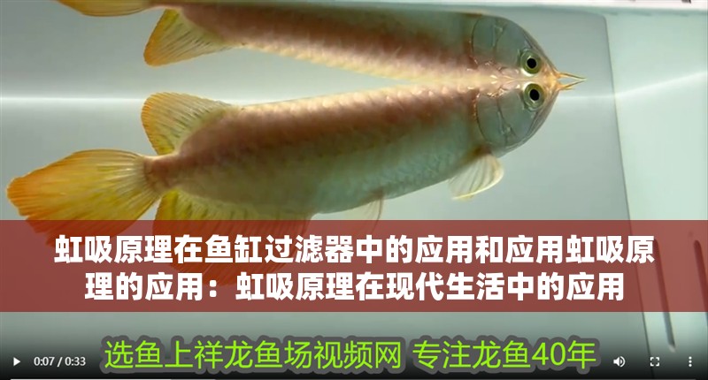 虹吸原理在魚缸過濾器中的應(yīng)用和應(yīng)用虹吸原理的應(yīng)用：虹吸原理在現(xiàn)代生活中的應(yīng)用 虹吸原理在魚缸過濾器中的應(yīng)用和應(yīng)用虹吸原理的應(yīng)用：虹吸原理在現(xiàn)代生活中的應(yīng)用 魚缸百科