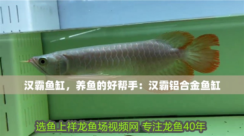 漢霸魚缸，養魚的好幫手：漢霸鋁合金魚缸