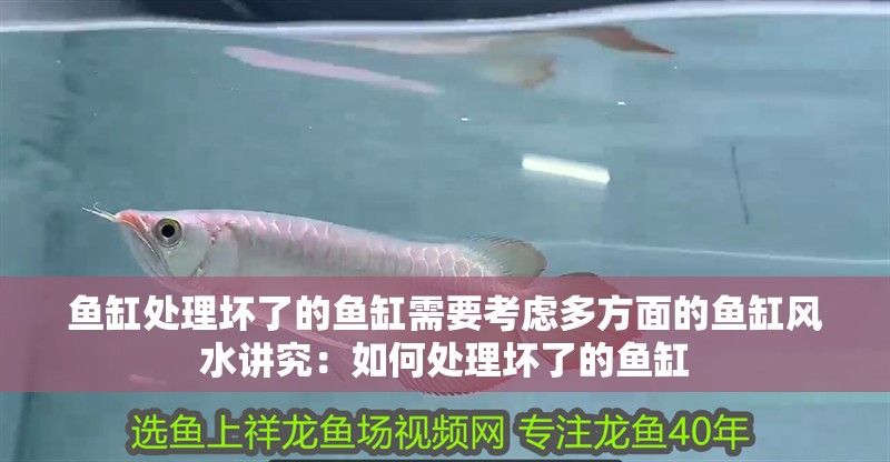 魚缸處理壞了的魚缸需要考慮多方面的魚缸風水講究：如何處理壞了的魚缸 魚缸處理壞了的魚缸需要考慮多方面的魚缸風水講究：如何處理壞了的魚缸 魚缸百科