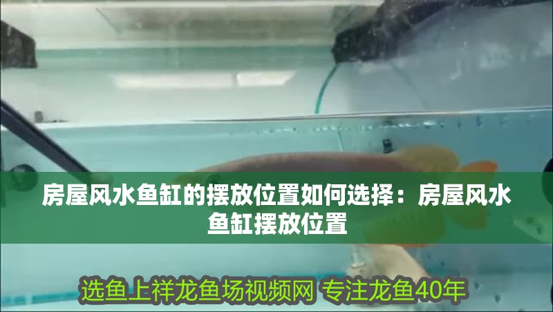房屋風水魚缸的擺放位置如何選擇：房屋風水魚缸擺放位置