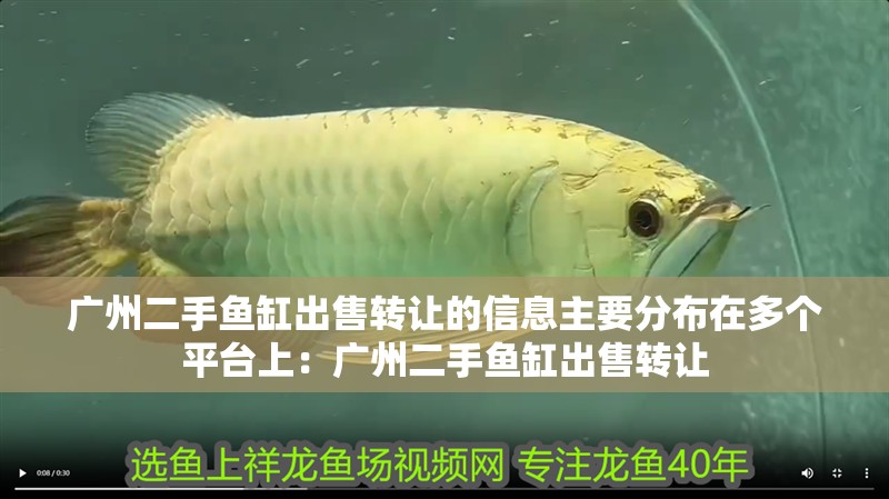 廣州二手魚缸出售轉讓的信息主要分布在多個平臺上：廣州二手魚缸出售轉讓