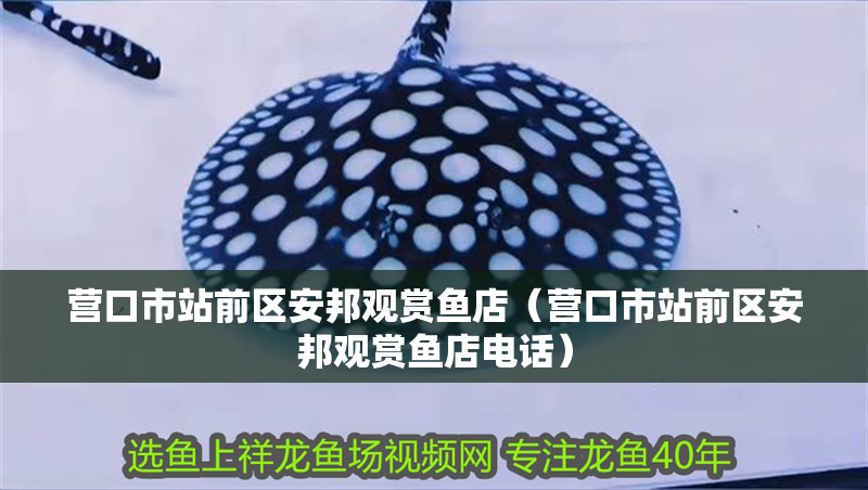 營口市站前區(qū)安邦觀賞魚店（營口市站前區(qū)安邦觀賞魚店電話） 營口市站前區(qū)安邦觀賞魚店（營口市站前區(qū)安邦觀賞魚店電話） 全國水族館企業(yè)名錄