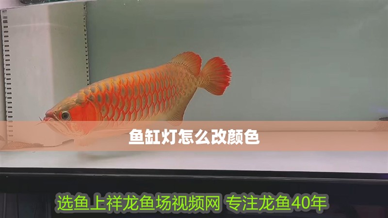 魚缸燈怎么改顏色