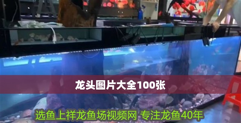 龍頭圖片大全100張