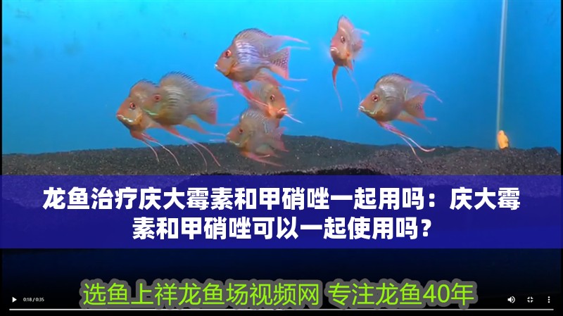 龍魚治療慶大霉素和甲硝唑一起用嗎：慶大霉素和甲硝唑可以一起使用嗎？