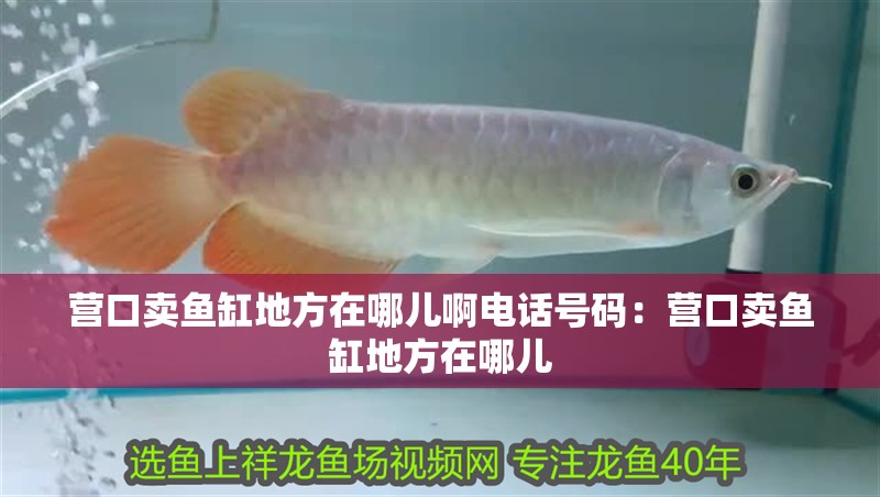 營口賣魚缸地方在哪兒啊電話號碼：營口賣魚缸地方在哪兒
