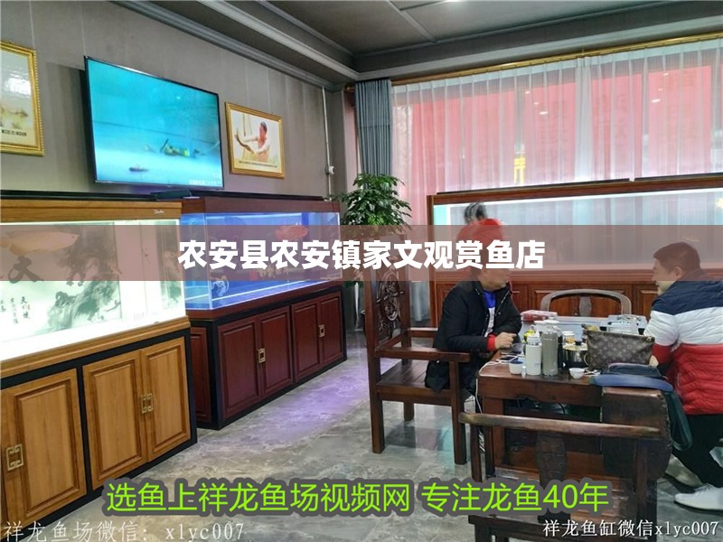 農安縣農安鎮家文觀賞魚店