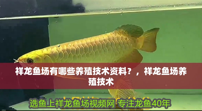 祥龍魚(yú)場(chǎng)有哪些養(yǎng)殖技術(shù)資料？，祥龍魚(yú)場(chǎng)養(yǎng)殖技術(shù)