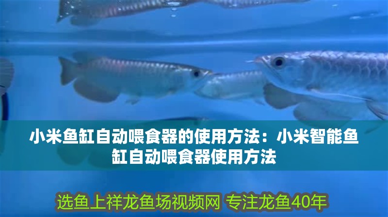 小米魚缸自動喂食器的使用方法：小米智能魚缸自動喂食器使用方法 小米魚缸自動喂食器的使用方法：小米智能魚缸自動喂食器使用方法 魚缸百科