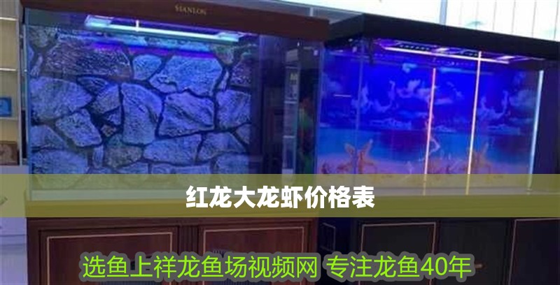 紅龍大龍蝦價(jià)格表