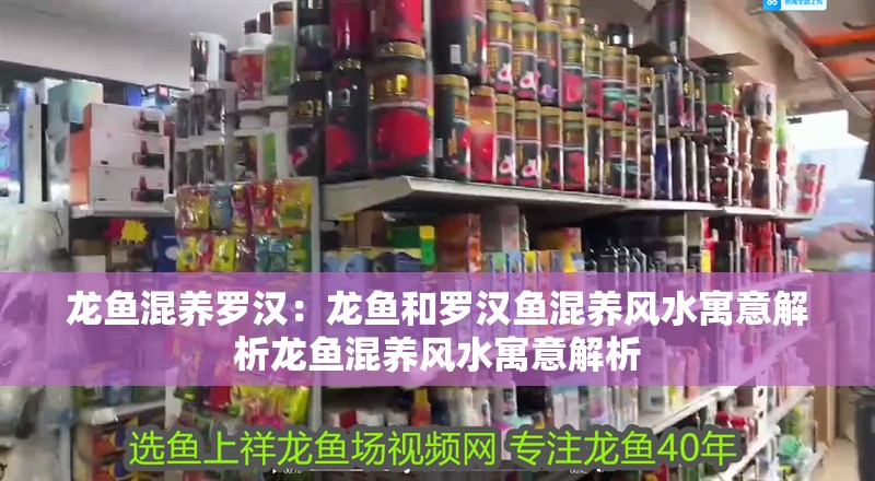 龍魚干蝦有營養嗎 龍魚混養羅漢:龍魚和羅漢魚混養風水寓意解析龍魚混養風水寓意解析 龍魚百科 龍魚混養羅漢:龍魚和羅漢魚混養風水寓意解析龍魚混養風水寓意解析 龍魚混養羅漢:龍魚和羅漢魚混養風水寓意解析龍魚混養風水寓意解析 龍魚百科