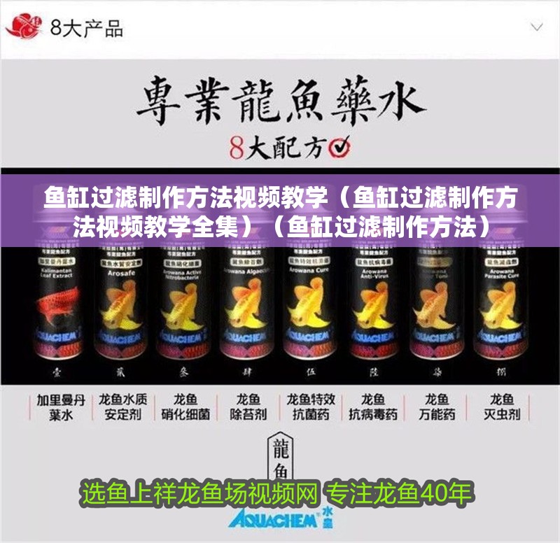 魚缸過濾制作方法視頻教學（魚缸過濾制作方法視頻教學全集）（魚缸過濾制作方法）
