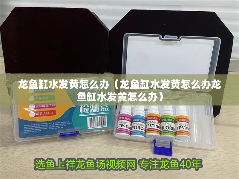 龍魚缸水發黃怎么辦（龍魚缸水發黃怎么辦龍魚缸水發黃怎么辦）