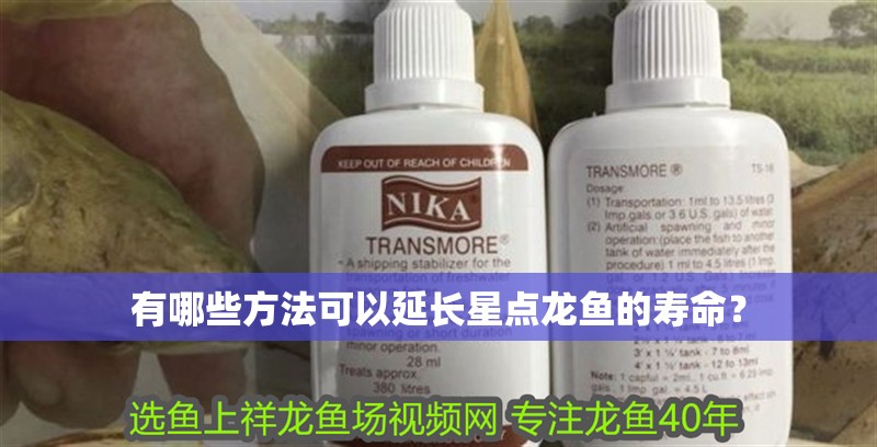 有哪些方法可以延長星點龍魚的壽命？ 有哪些方法可以延長星點龍魚的壽命？ 龍魚論壇