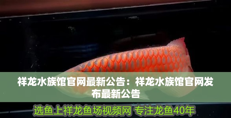 祥龍水族館官網最新公告：祥龍水族館官網發布最新公告