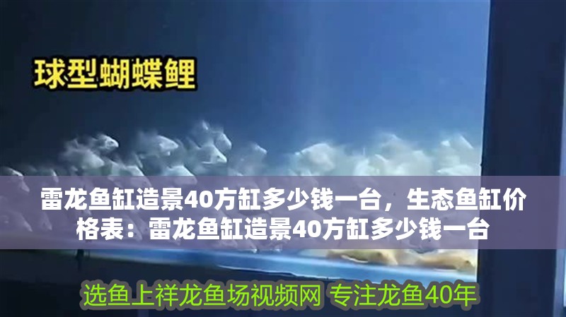 雷龍魚缸造景40方缸多少錢一臺，生態(tài)魚缸價(jià)格表：雷龍魚缸造景40方缸多少錢一臺