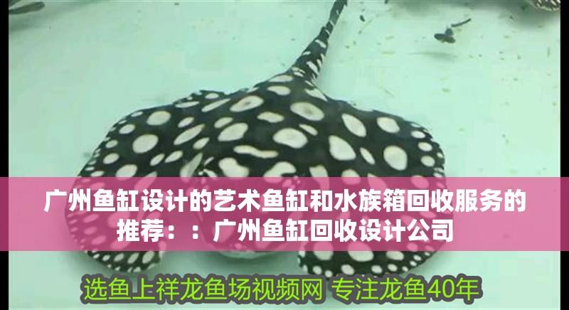 廣州魚缸設計的藝術魚缸和水族箱回收服務的推薦：：廣州魚缸回收設計公司