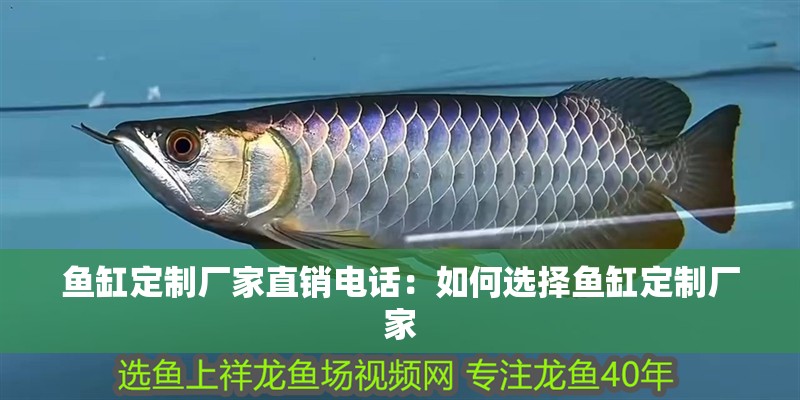 魚缸定制廠家直銷電話：如何選擇魚缸定制廠家