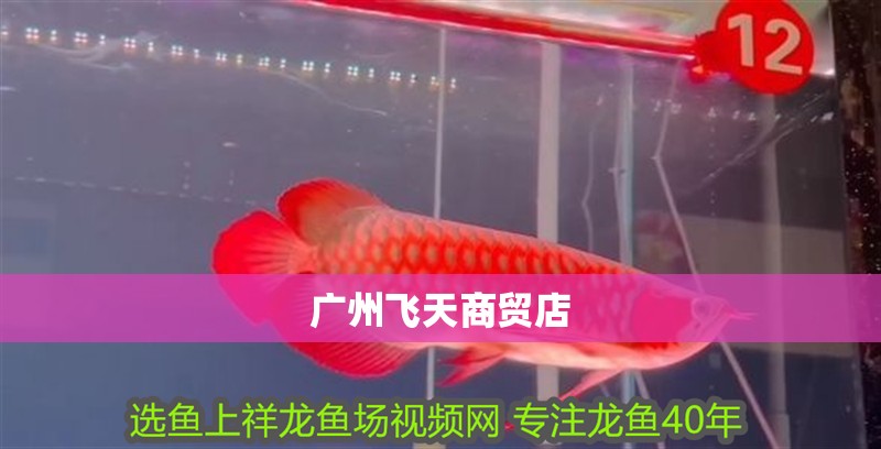 廣州飛天商貿(mào)店