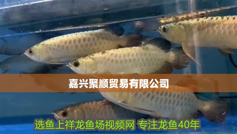 嘉興聚順貿(mào)易有限公司