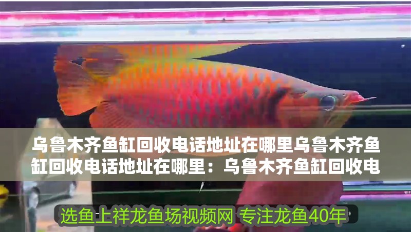 烏魯木齊魚缸回收電話地址在哪里烏魯木齊魚缸回收電話地址在哪里：烏魯木齊魚缸回收電話地址 烏魯木齊魚缸回收電話地址在哪里烏魯木齊魚缸回收電話地址在哪里：烏魯木齊魚缸回收電話地址 魚缸百科