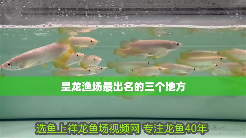 皇龍漁場最出名的三個地方