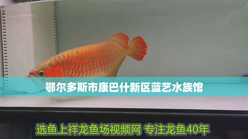 鄂爾多斯市康巴什新區藍藝水族館
