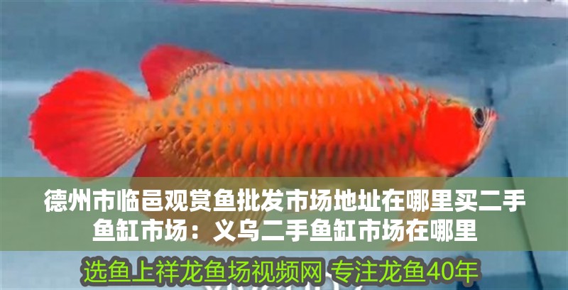 <strong><mark>德州</mark></strong>市臨邑觀賞魚批發市場地址在哪里買二手魚缸市場：義烏二手魚缸市場在哪里