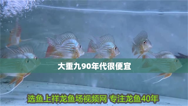 大重九90年代很便宜