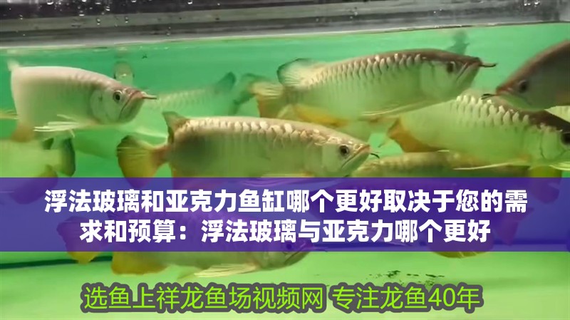 浮法玻璃和亞克力魚(yú)缸哪個(gè)更好取決于您的需求和預(yù)算：浮法玻璃與亞克力哪個(gè)更好