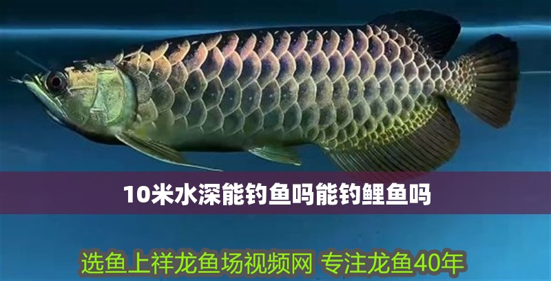 10米水深能釣魚嗎能釣鯉魚嗎
