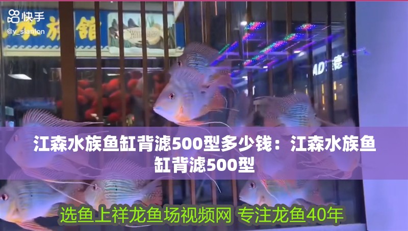江森水族魚(yú)缸背濾500型多少錢(qián)：江森水族魚(yú)缸背濾500型