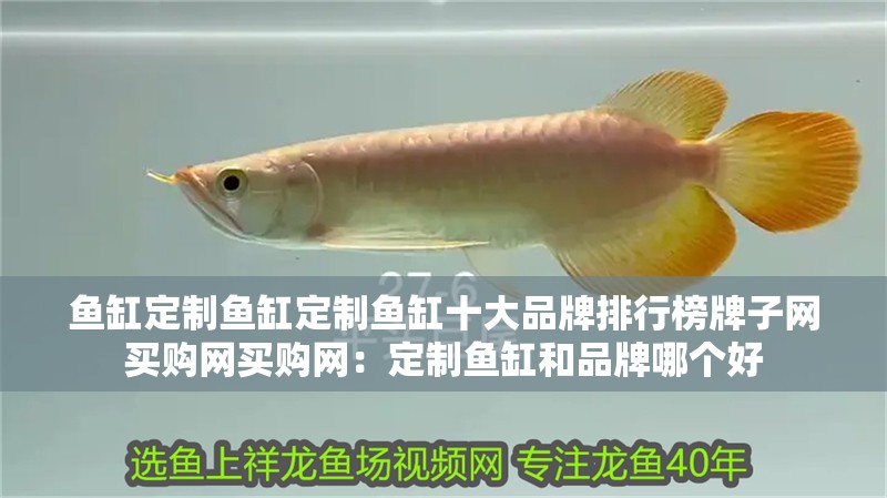 魚缸定制魚缸定制魚缸十大品牌排行榜牌子網買購網買購網：定制魚缸和品牌哪個好