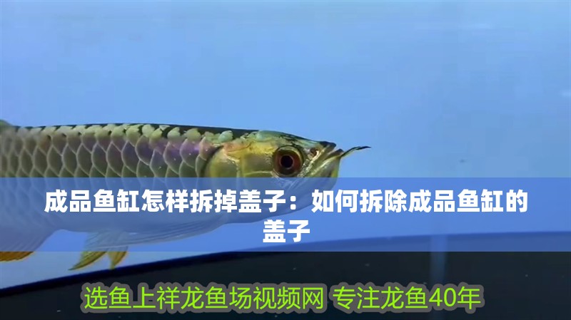 成品魚缸怎樣拆掉蓋子：如何拆除成品魚缸的蓋子