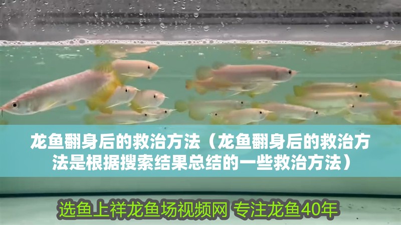 龍魚翻身后的救治方法（龍魚翻身后的救治方法是根據搜索結果總結的一些救治方法）