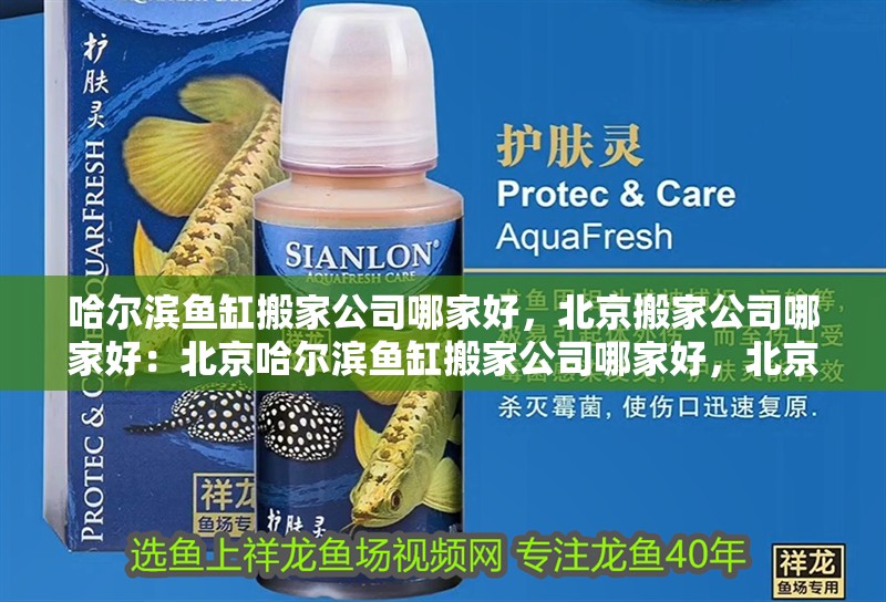 哈爾濱魚缸搬家公司哪家好，北京搬家公司哪家好：北京哈爾濱魚缸搬家公司哪家好，北京搬家公司哪家好 哈爾濱魚缸搬家公司哪家好，北京搬家公司哪家好：北京哈爾濱魚缸搬家公司哪家好，北京搬家公司哪家好 魚缸百科