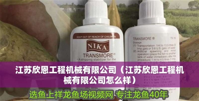 江蘇欣恩工程機械有限公司（江蘇欣恩工程機械有限公司怎么樣）