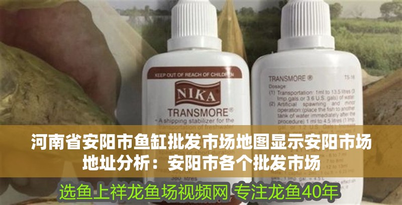 河南省安陽市魚缸批發市場地圖顯示安陽市場地址分析：安陽市各個批發市場 河南省安陽市魚缸批發市場地圖顯示安陽市場地址分析：安陽市各個批發市場 魚缸百科
