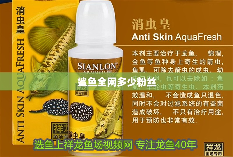 鯊魚全網(wǎng)多少粉絲