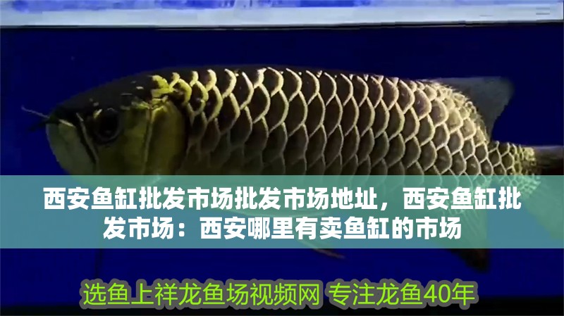 西安魚缸批發市場批發市場地址，西安魚缸批發市場：西安哪里有賣魚缸的市場 西安魚缸批發市場批發市場地址，西安魚缸批發市場：西安哪里有賣魚缸的市場 魚缸百科