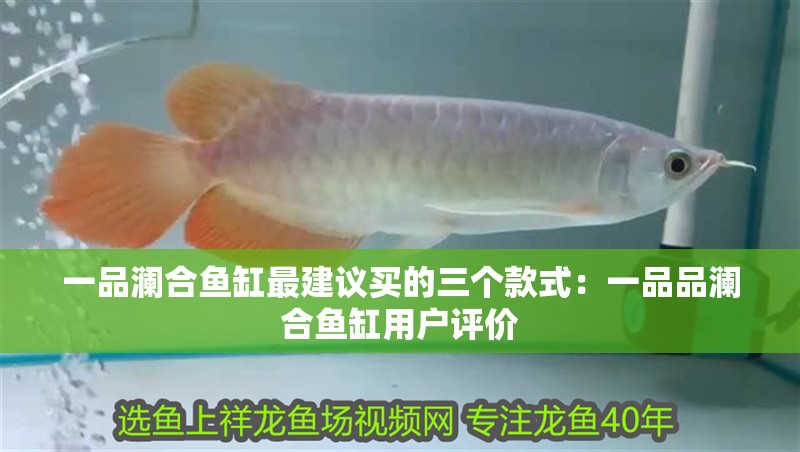 一品瀾合魚缸最建議買的三個款式：一品品瀾合魚缸用戶評價