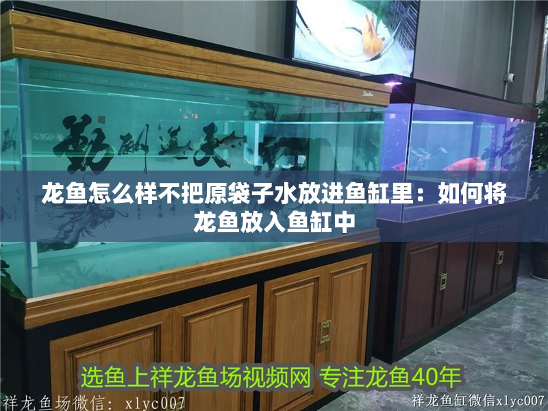 龍魚怎么樣不把原袋子水放進(jìn)魚缸里：如何將龍魚放入魚缸中